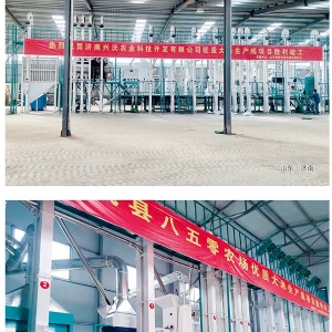 日產(chǎn)80-300噸成套碾米設(shè)備工程